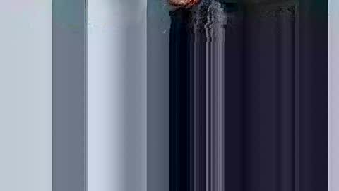 mr_i_ online show from 03-10-25, 08:37