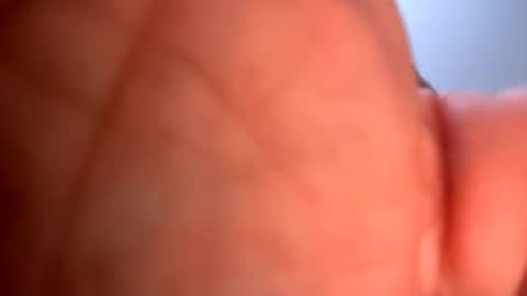 Snapshot of mrfrankfuckforfree chatting on 01-19-25, 05:26 mrfrankfuckforfree online show from 01-19-25, 05:26