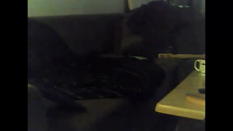 Snapshot of mrhandsomelovee chatting on 01-12-25, 12:01 Nikola online show from 01-12-25, 12:01