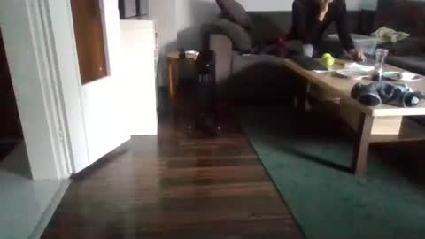 Snapshot of mrhandsomelovee chatting on 02-17-25, 11:02 Nikola online show from 02-17-25, 11:02