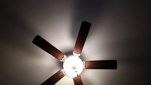 mrorange50187 online show from 01-26-25, 10:02