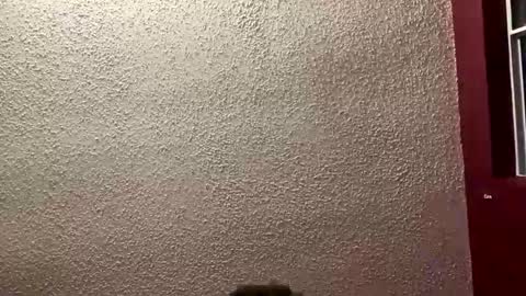 Angel online show from 01-19-26, 01:31