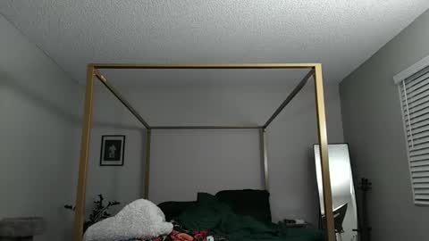 Snapshot of mrricomustachio chatting on 12-06-24, 05:09 Rico online show from 12-06-24, 05:09