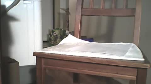 Longshot online show from 12-29-24, 03:44