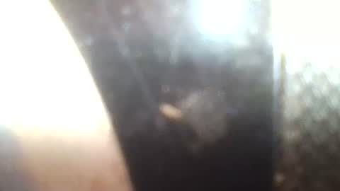 Snapshot of mrvenusx chatting on 01-30-25, 02:36 Mrs Venus online show from 01-30-25, 02:36