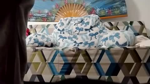 Snapshot of ms2wet4u1000 chatting on 11-05-25, 12:16 ms2wet4u1000 online show from 11-05-25, 12:16