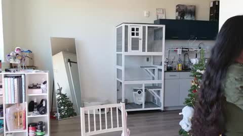 Snapshot of ms_mochii chatting on 10-25-25, 06:35 R o r i SnapChat heyroriv2 wednesday - sunday Noon oclock mountain - 5pm mountain online show from 10-25-25, 06:35