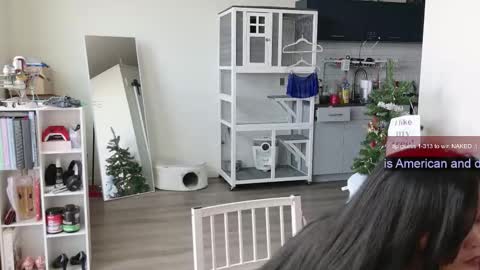 Snapshot of ms_mochii chatting on 11-01-25, 06:21 R o r i SnapChat heyroriv2 wednesday - sunday Noon oclock mountain - 5pm mountain online show from 11-01-25, 06:21