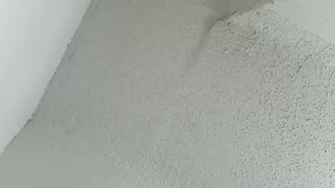 melissa online show from 03-11-26, 12:16