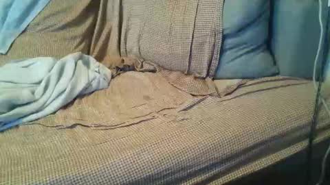 mteacher4fun online show from 05-23-26, 03:16