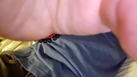 mtnclimber1 online show from 11-19-25, 10:54