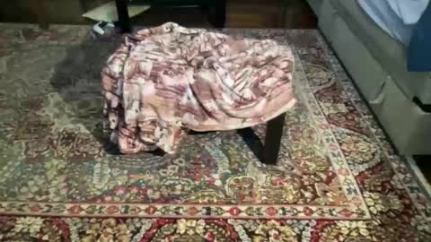 Snapshot of much_fun1 chatting on 02-01-26, 03:21 much_fun1 online show from 02-01-26, 03:21