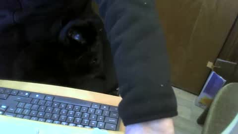 muller520 online show from 01-22-25, 04:02