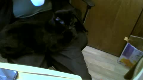 muller520 online show from 01-23-25, 06:14