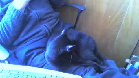 muller520 online show from 04-02-26, 02:26