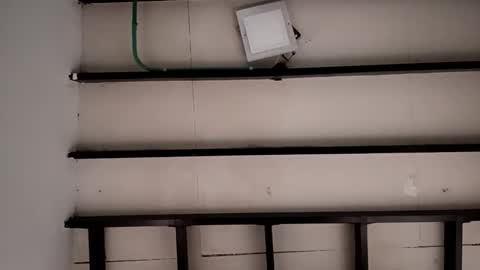 Sebastian online show from 10-03-25, 11:40