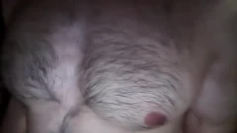 musclehair3 online show from 02-26-25, 08:22