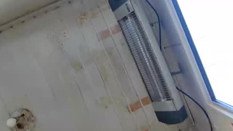 Snapshot of muscularsexybady chatting on 09-22-25, 06:15 handsome sexy muscular man online show from 09-22-25, 06:15