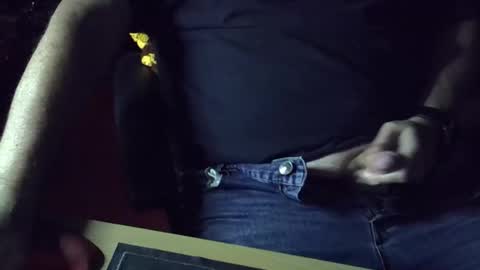 Snapshot of muso44 chatting on 05-03-26, 12:55 Muso online show from 05-03-26, 12:55