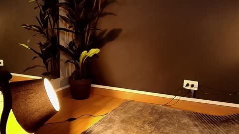 Snapshot of my_maite chatting on 02-01-25, 05:58 Maite online show from 02-01-25, 05:58