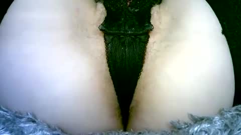 Snapshot of my_tightholes chatting on 02-02-26, 06:50 my_tightholes online show from 02-02-26, 06:50