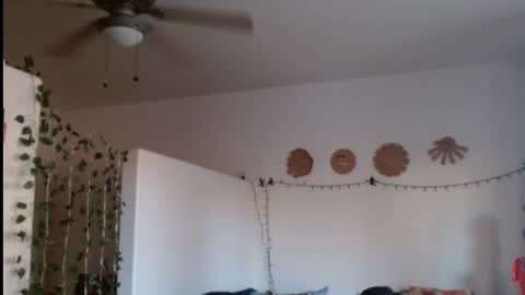 Snapshot of mycock4u247 chatting on 02-21-25, 12:38 LA MARIPOSA DE MARICOPA online show from 02-21-25, 12:38