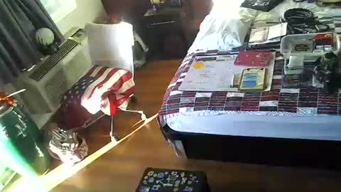 Snapshot of mycock4u247 chatting on 11-29-25, 03:04 LA MARIPOSA DE MARICOPA online show from 11-29-25, 03:04