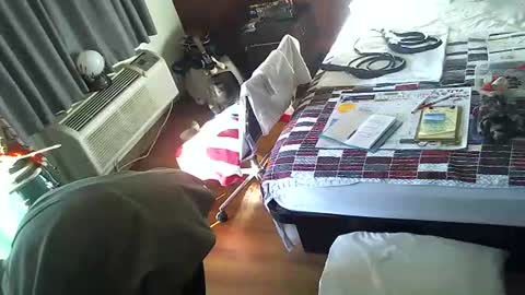 Snapshot of mycock4u247 chatting on 11-30-25, 03:16 LA MARIPOSA DE MARICOPA online show from 11-30-25, 03:16