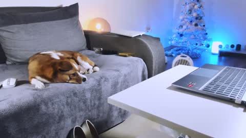 Anda online show from 12-27-24, 10:48