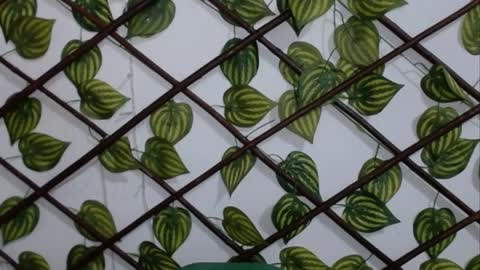 my negrito online show from 04-25-26, 11:24