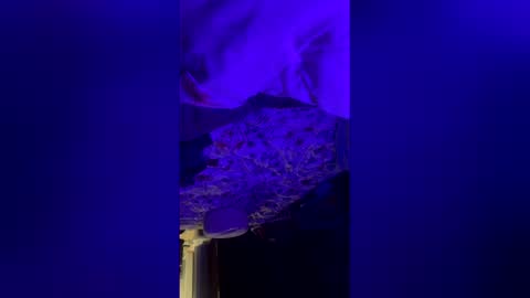 mysexiness0 online show from 03-12-26, 03:23