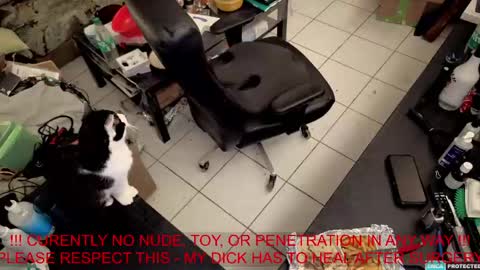 Marc online show from 04-27-26, 07:56