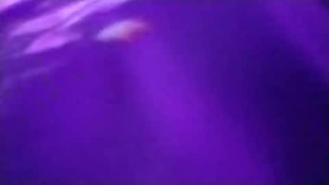 Snapshot of n298033 chatting on 09-23-25, 05:05 n298033 online show from 09-23-25, 05:05