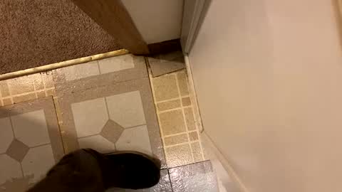 Snapshot of nairda2senoniuq chatting on 12-20-24, 12:08 nairda2senoniuq online show from 12-20-24, 12:08