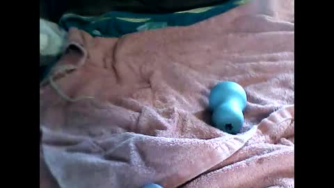 nakedboymdx online show from 03-23-26, 02:21