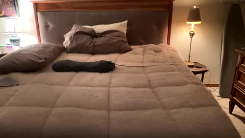 Masturbating boys need to be spanked. online show from 04-12-26, 02:16