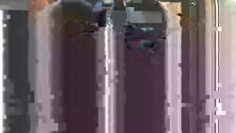 Snapshot of nastyyyyydoo chatting on 12-16-25, 08:41 nastyyyyydoo online show from 12-16-25, 08:41