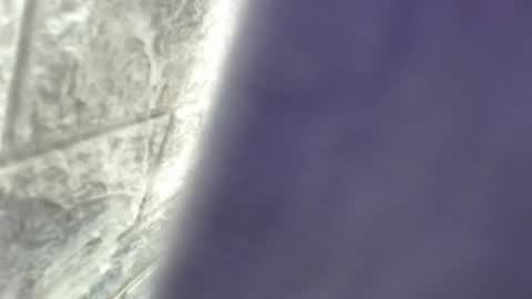 natalieevansx online show from 11-16-25, 03:39