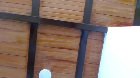 nath_dawson online show from 11-15-25, 07:21