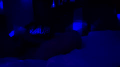 Snapshot of nativeboi22 chatting on 01-08-26, 09:22 Haven online show from 01-08-26, 09:22