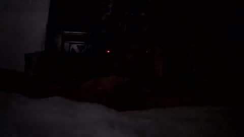 Snapshot of nativeboi22 chatting on 02-17-26, 06:58 Haven online show from 02-17-26, 06:58