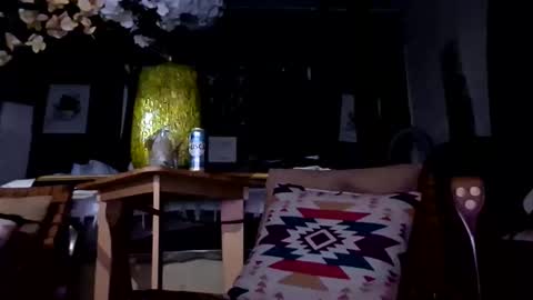 Snapshot of nativeboi22 chatting on 03-21-26, 04:17 Haven online show from 03-21-26, 04:17