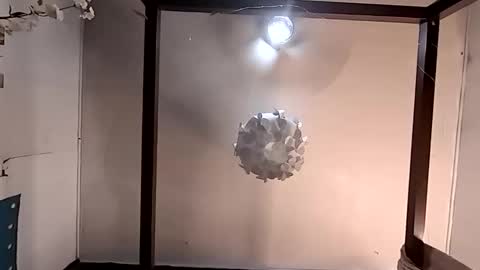 Snapshot of nativeboi22 chatting on 03-26-26, 04:56 Haven online show from 03-26-26, 04:56