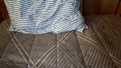 nativejoker_1995 online show from 10-04-25, 09:13