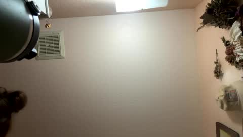 naturebabe666 online show from 07-15-26, 10:53