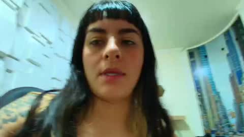 Kitten online show from 02-11-26, 10:42