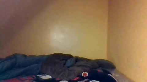 Bree doll online show from 04-26-26, 08:39