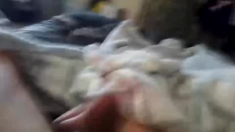 Snapshot of naughtyfelons6969 chatting on 10-04-25, 09:07 naughtyfelons6969 online show from 10-04-25, 09:07