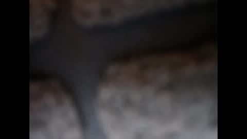 Snapshot of naughtypanties123 chatting on 03-11-26, 06:08 naughtypanties123 online show from 03-11-26, 06:08