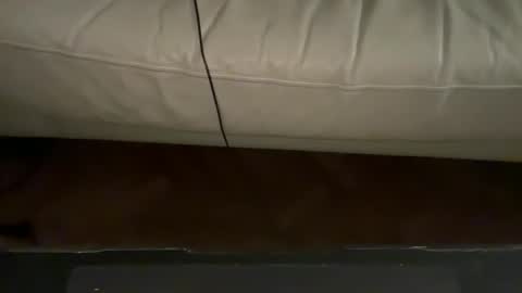 Snapshot of navigatingtothesky chatting on 11-18-25, 11:48 navigatingtothesky online show from 11-18-25, 11:48